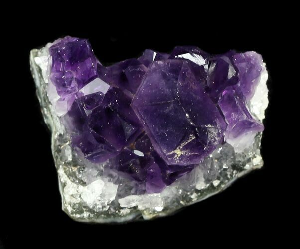 Dark Purple Amethyst Cluster - Uruguay #30601